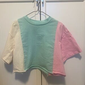 Teddy Fresh Unisex Tee T-Shirt Colorblock Cream Mint Pink Fair Condition L Crop